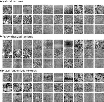 Analysis and Synthesis of Natural Texture Perception From Visual Evoked Potentials